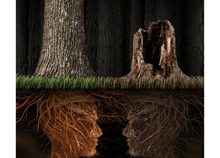 Two trees, one alive and one reduced to a trunk, appear above the ground. Beneath them, roots form the profiles of two human faces, facing each other, suggesting that in grief, connection and love persist, even if in an invisible way.